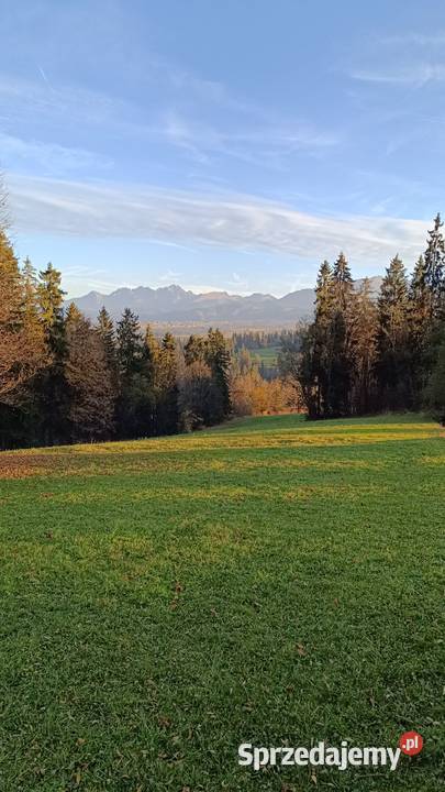 ZAKOPANE GLAMPINGPiękna działka widokowa u stóp Suche