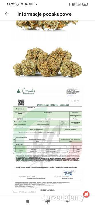 CBD susz konopny AK47 6g Olsztyn