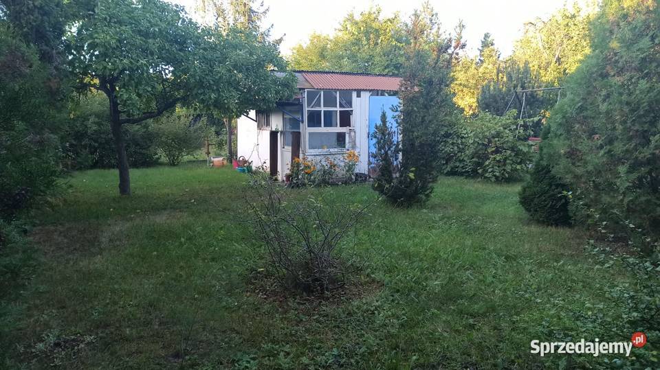 Działka ogrodowa Ogródek ROD Wrocław Sępolno dolnośląskie