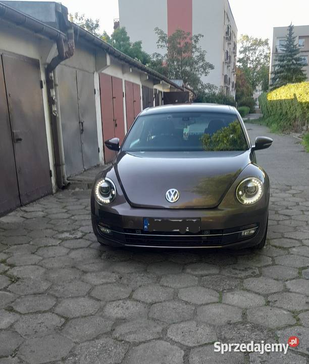 Volkswagen Beetle 12