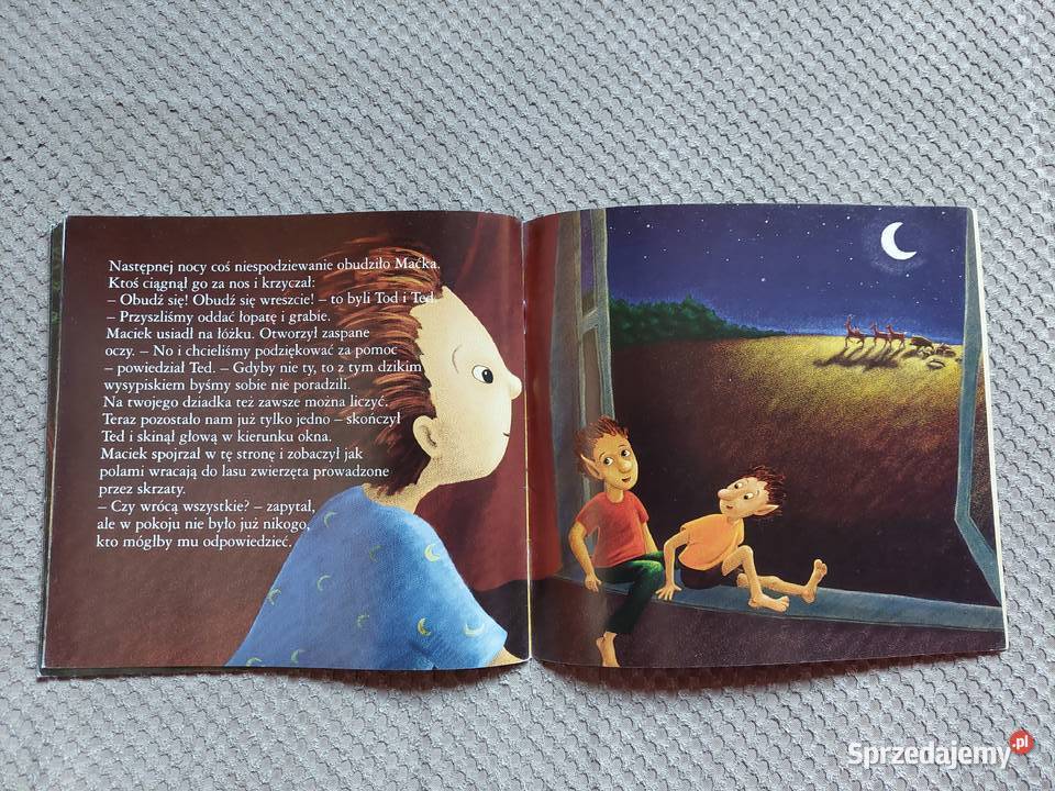 ekobajka Dlaczego zwierzęta opuściły las