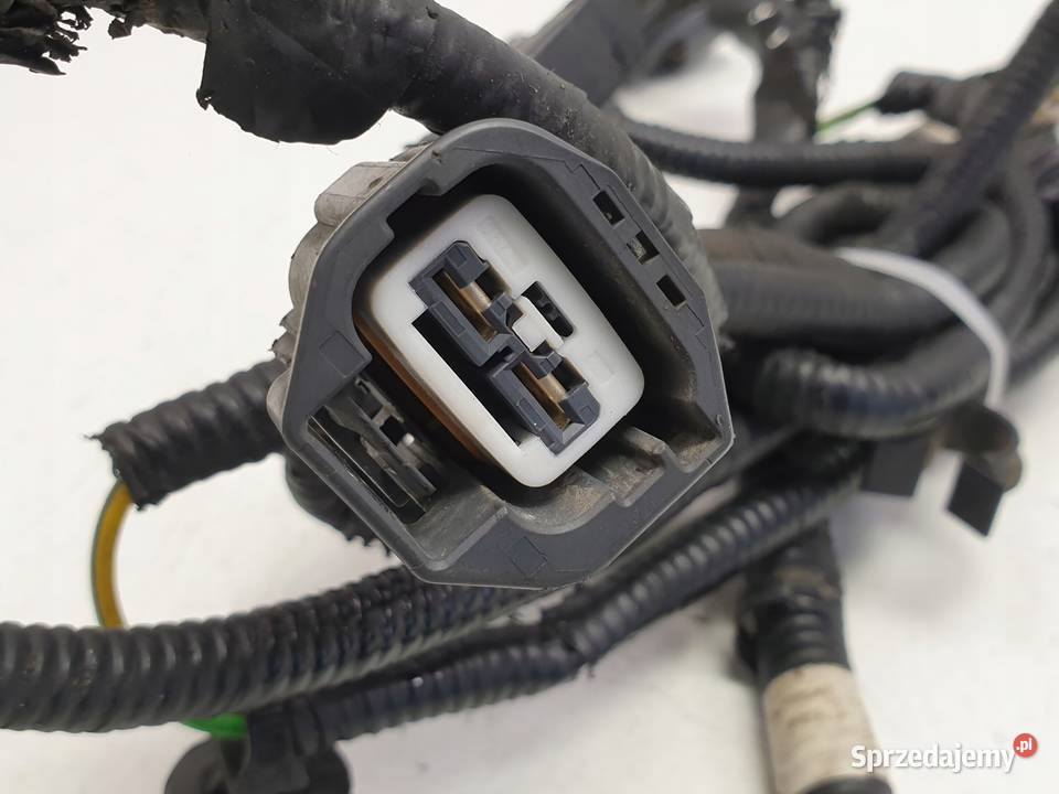 Ford F150 15 27 35 V6 WIĄZKA TYLNYCH ZACISKÓW