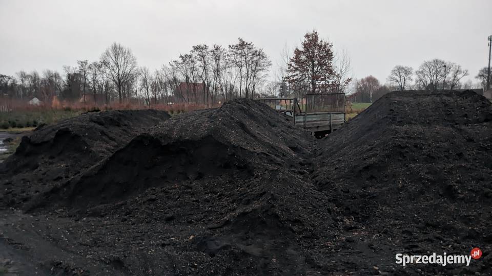 Szlaka drogoważużel transport kujawsko-pomorskie Dobrzyń nad Wisłą