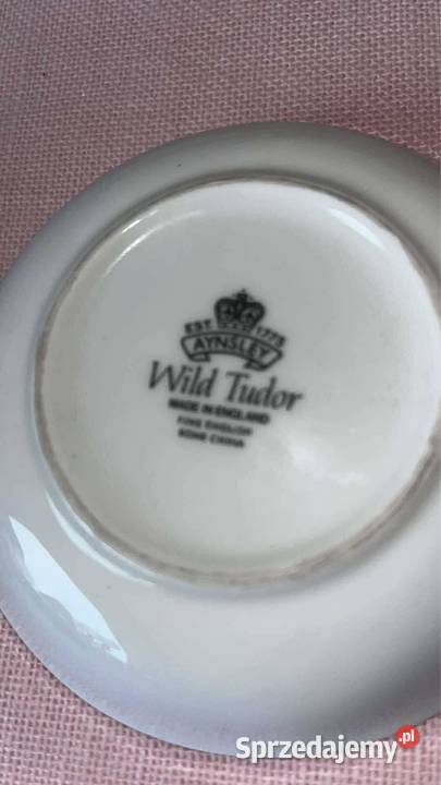 Talerzyk Aynsley Wild Tudor Made in England Gdańsk