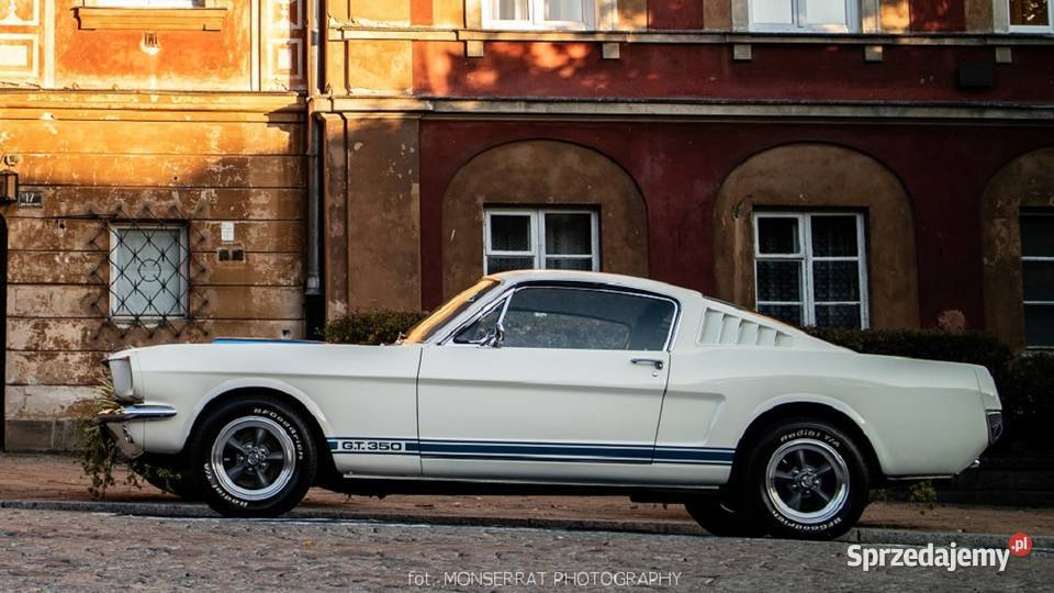 Ford Mustang 1966r GT350 biały do ślubu Warszawa