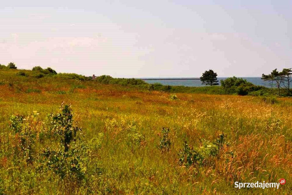 Działka budowlana Gleźnowo Sprzedaż