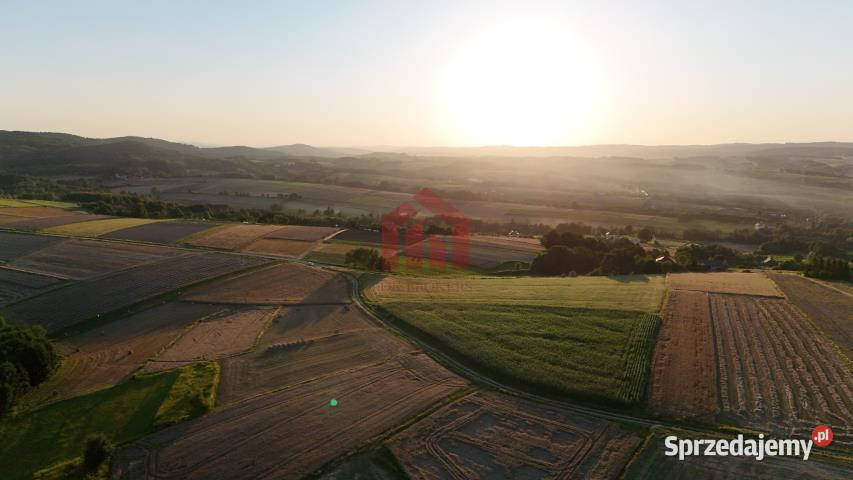 Grunt 2600m2 Brzeziny asfalt