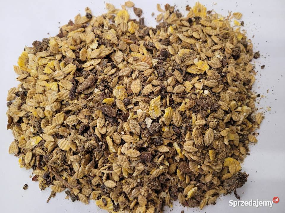 Musli Konia Wszechstronny Unipasz 20 Zdrowa