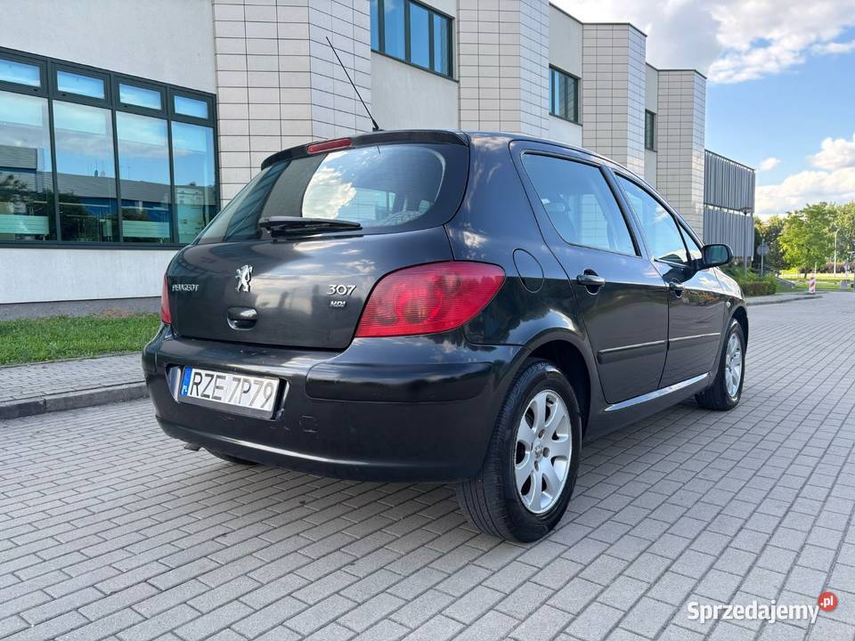 Peugeot 307 20 HDi 90 klimatyzacja ABS 307 podkarpackie sprzedam
