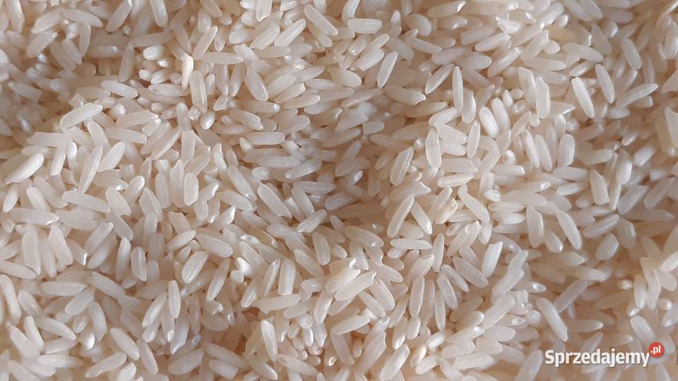 Ryż biały długoziarnisty 1 Plony Natury ponad Kasze, ryże Wrocław