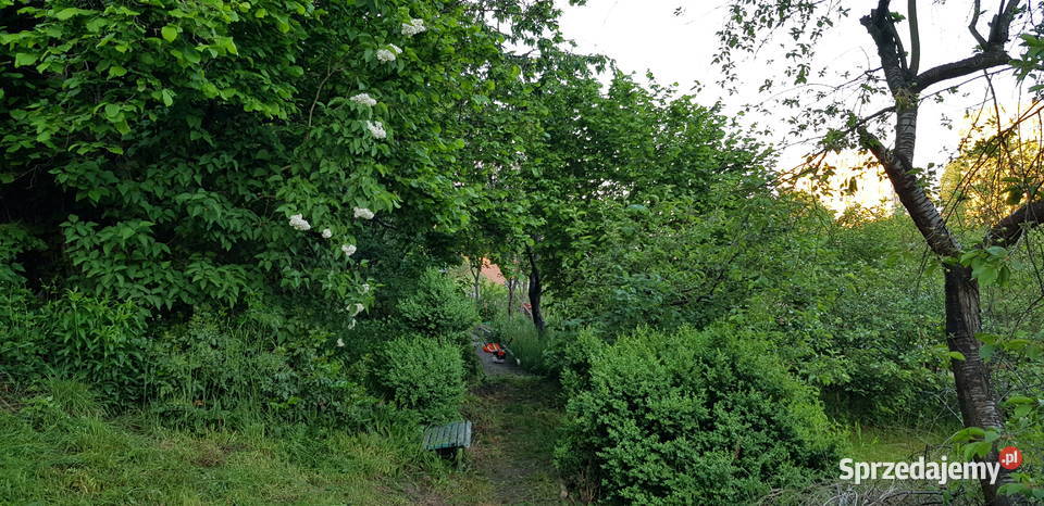 Odstąpię działkę ogrodową ROD Gdańsk Chełm 30m