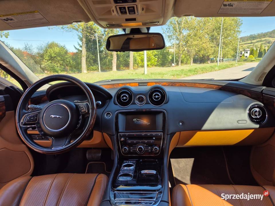 Jaguar XJ XJ Dzikowiec