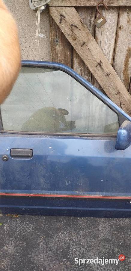 Drzwi ford escort Włocławek