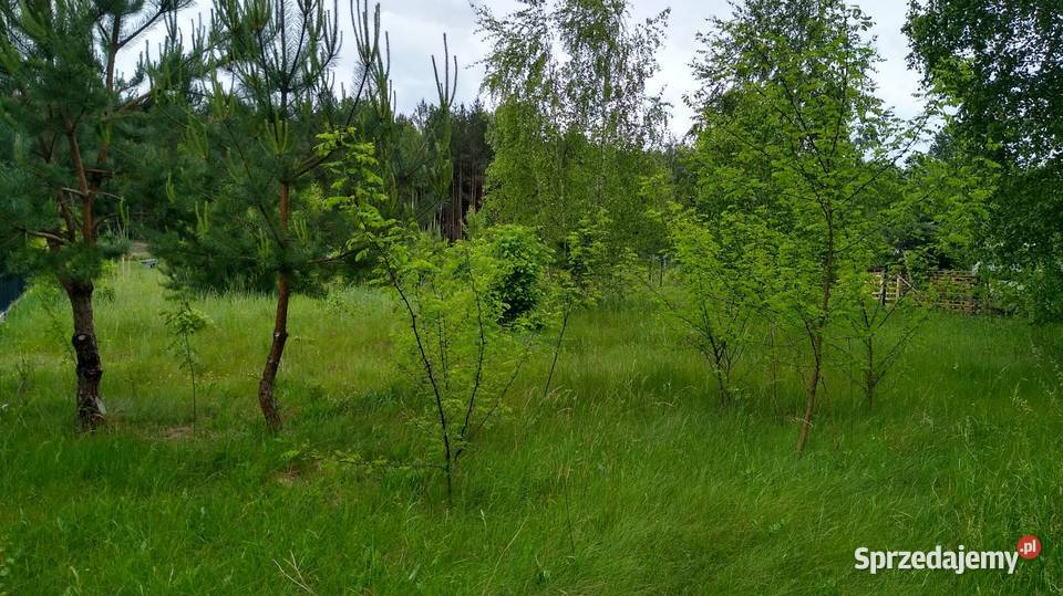 Działka rekreacyjna sprzedam Trzepnica sprzedam