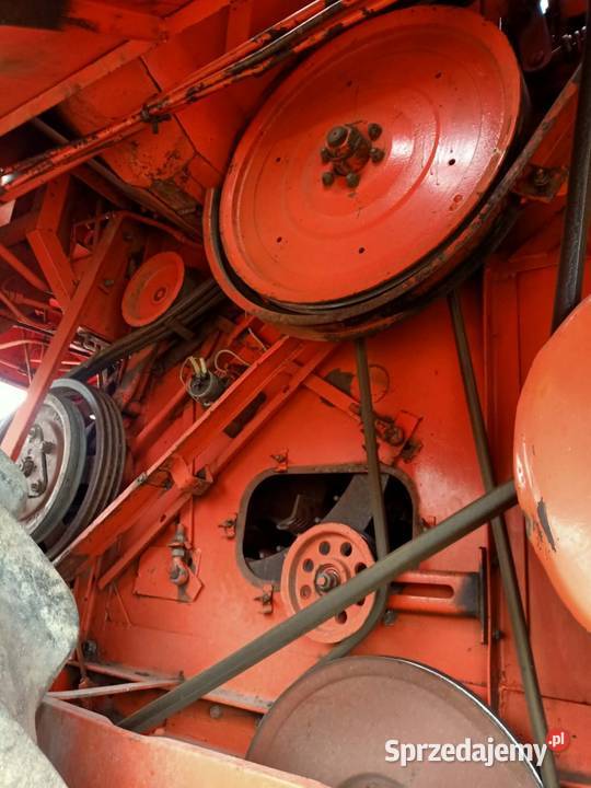 Bizon zo56 super 87r wielkopolskie Pakosław