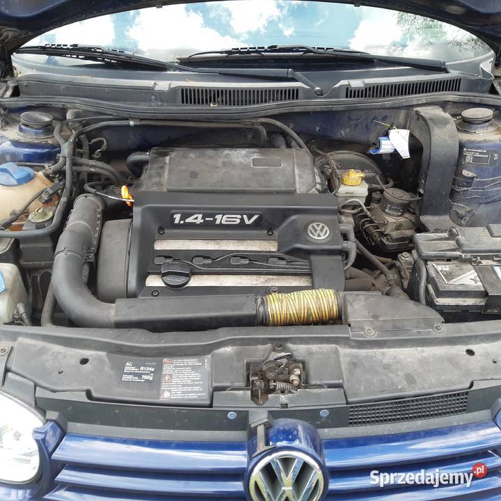 Golf IV 14 16v całość części Biała Podlaska
