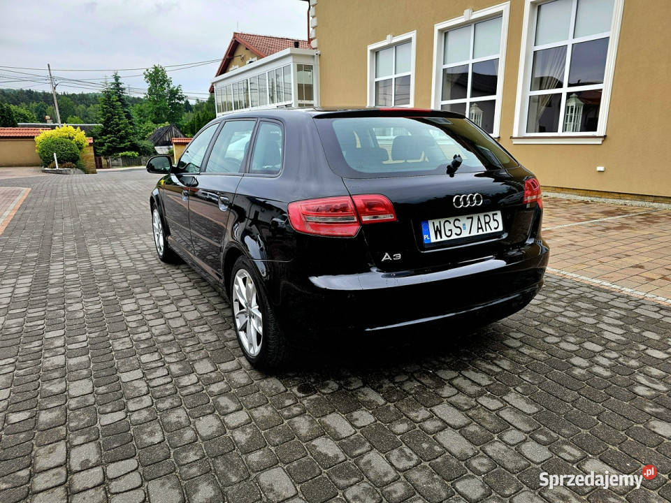 Audi A3 Sportback Lift 19 TDI DSG 5 Drzwi Serwis 105KM
