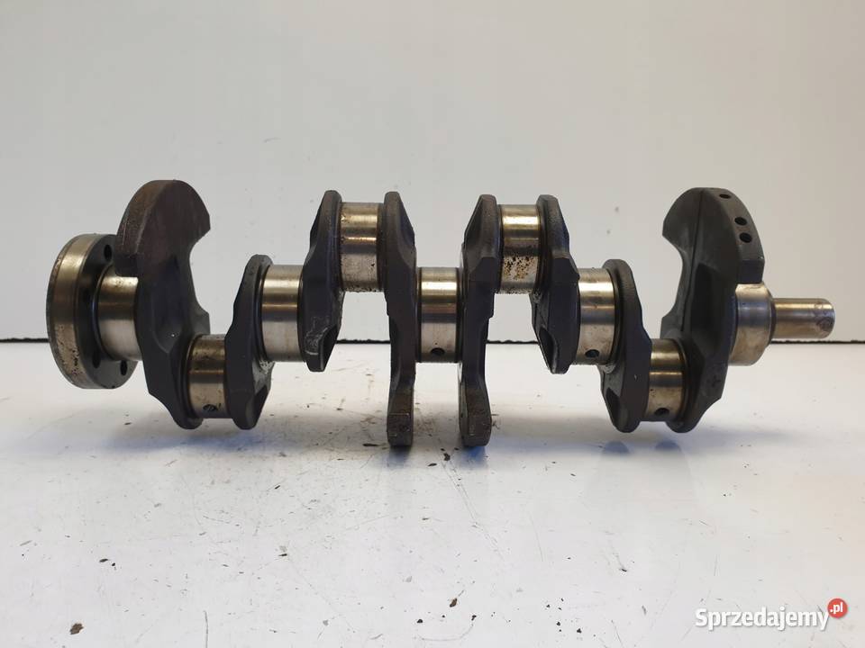 VW Golf V 14 FSI WAŁ KORBOWY GGG60 036AL osobowe Blok silnika Chełm
