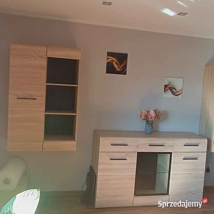 Komplet mebli do salonu kujawsko-pomorskie Ciele