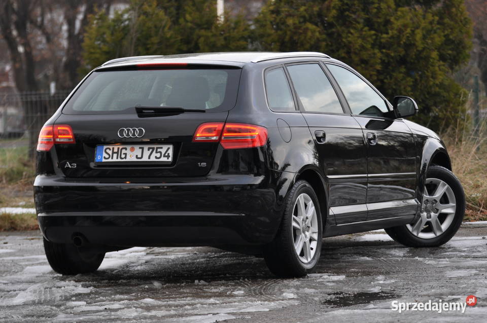 Audi a3 8p Sportback Lift 16mpi 143 100Oryginal 102KM Świdnica sprzedam