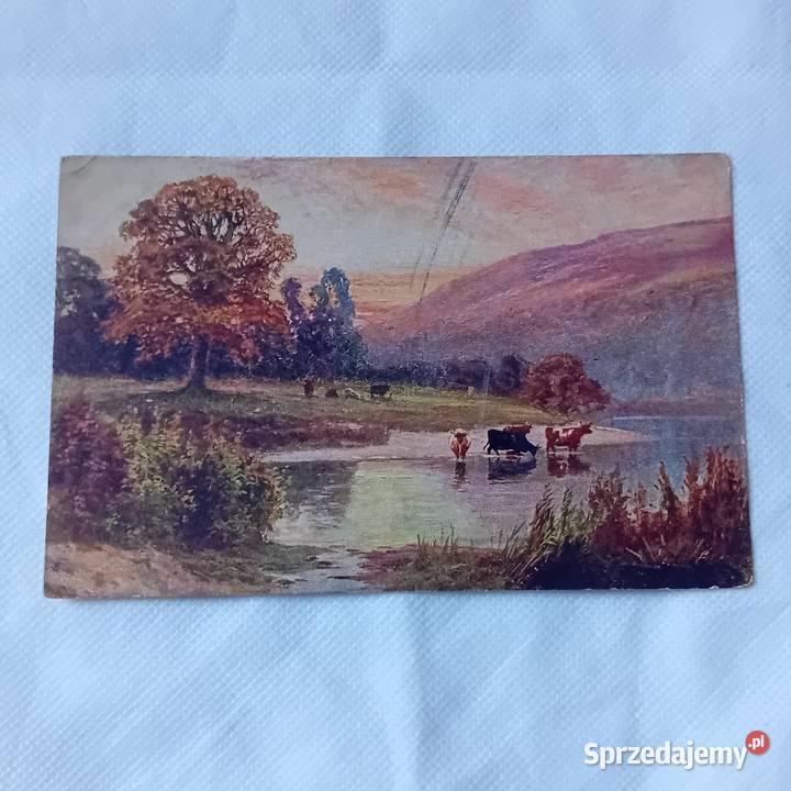 Pocztówka krowy wodopoju Polska lata 20e XX w Koźminek sprzedam
