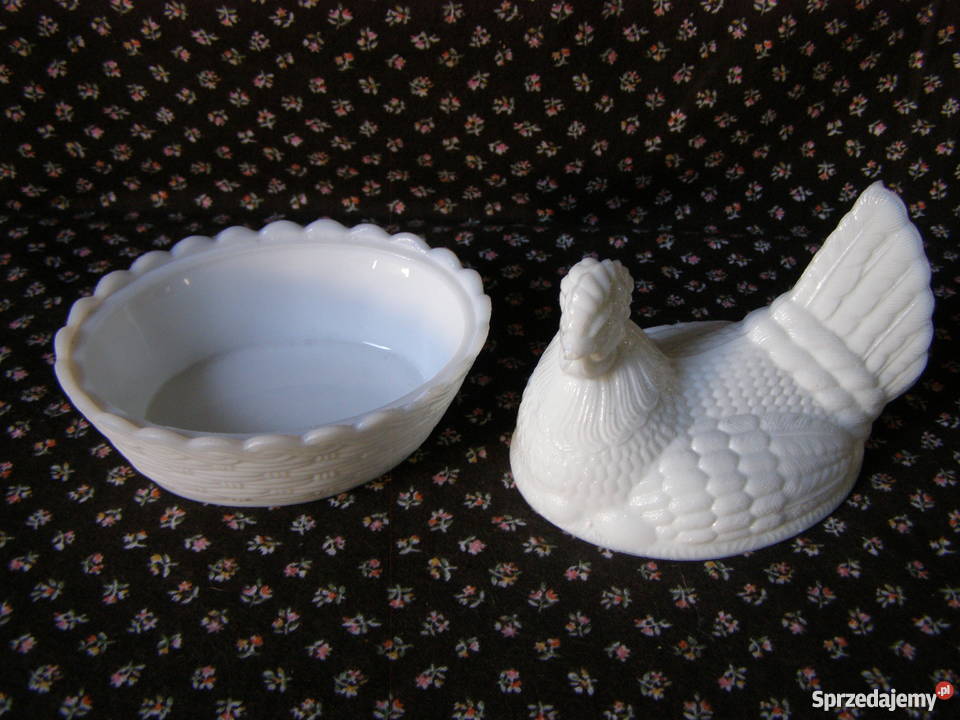 Kura mała lattimo Ząbkowice Międzyborów