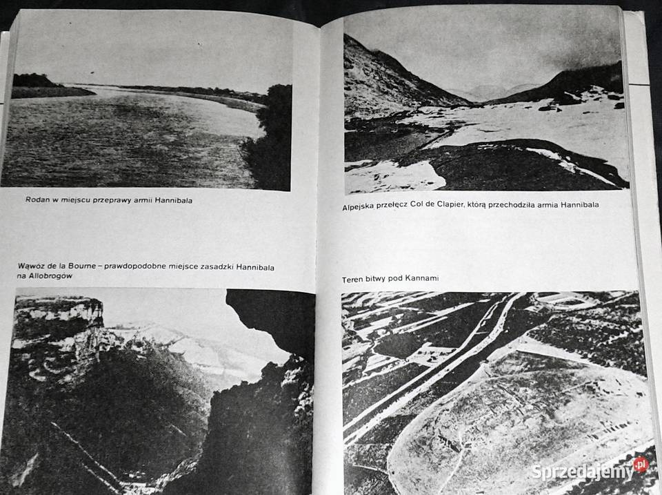 Kanny 216 pne Janusz Sikorski Chełm sprzedam