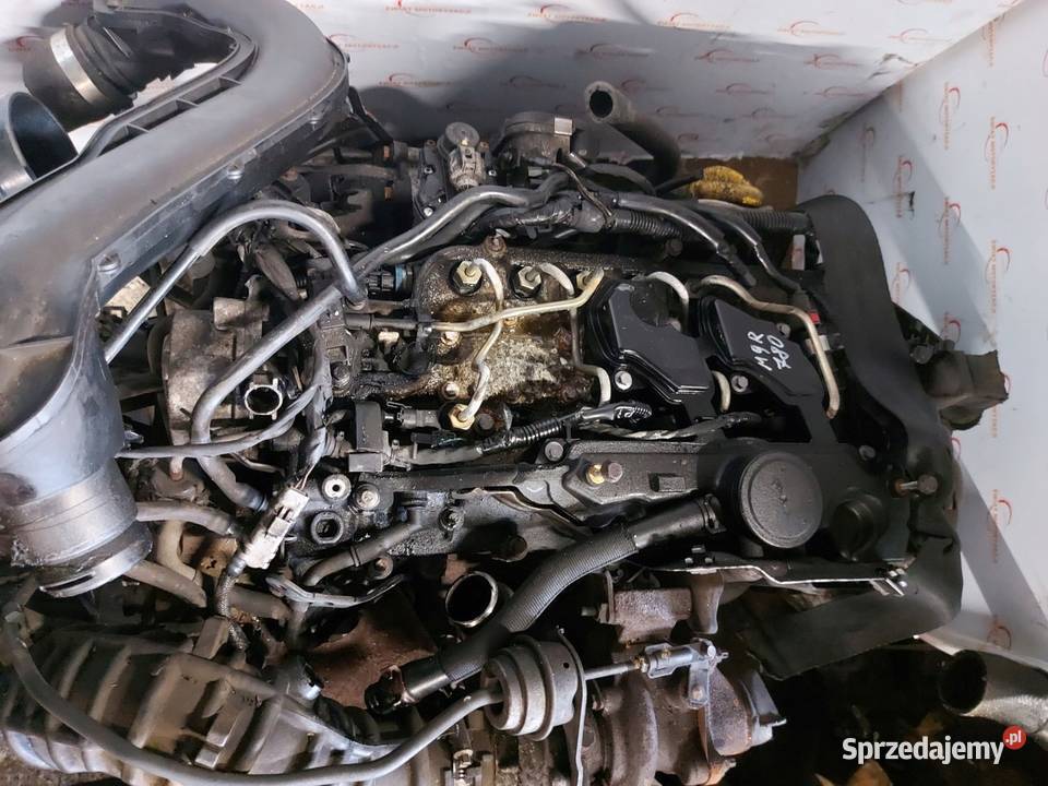 TRAFIC VIVARO 20 DCI M9R780 09r 114 179 silnik osobowe świętokrzyskie Kielce sprzedam