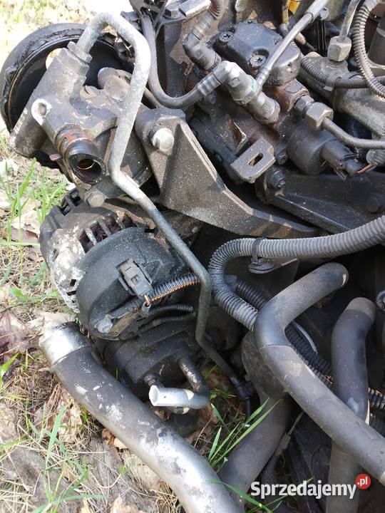 Silnik 19 dCi Renault Laguna II pęknięty pas Rok produkcji 2002 Otwock