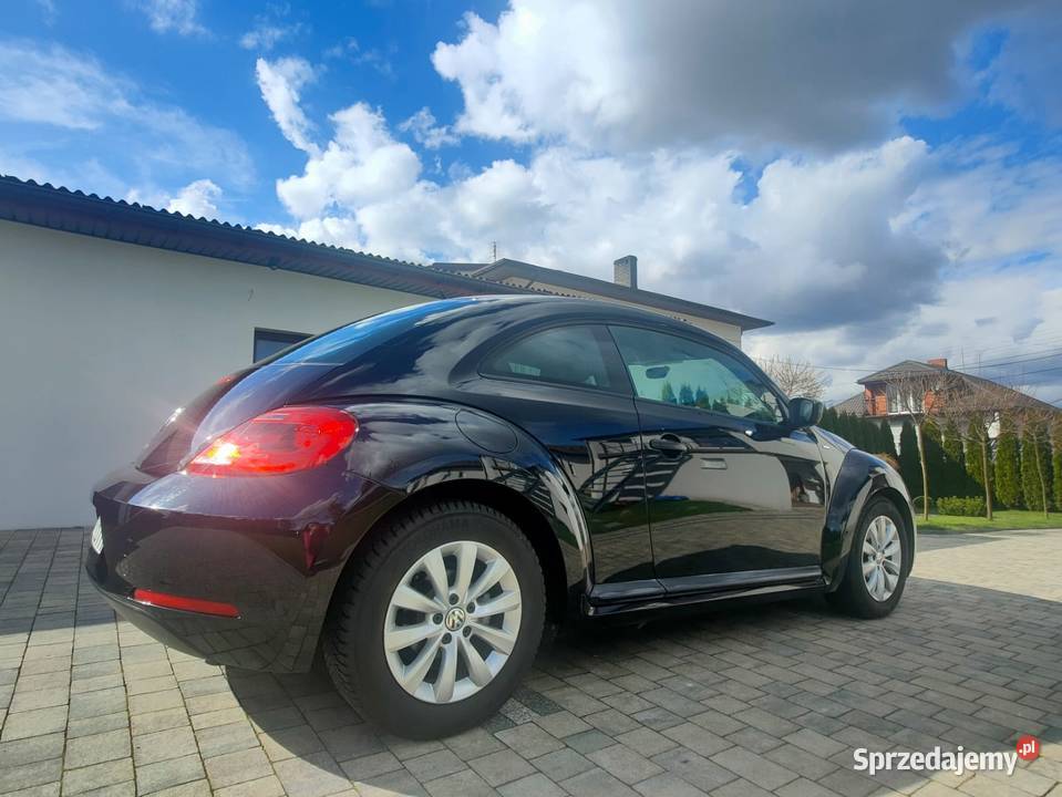 Volkswagen Beetle Beetle Kłobuck