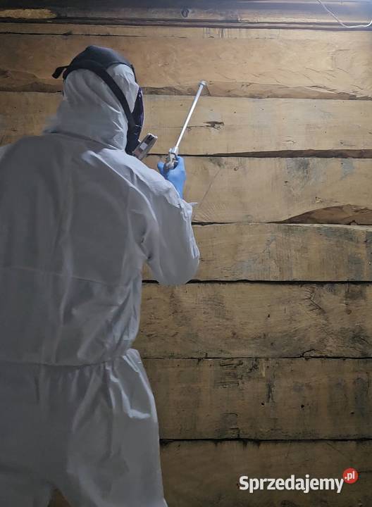 Usuwanie drewnojadów leczenie drewna więźby usługi budowlane