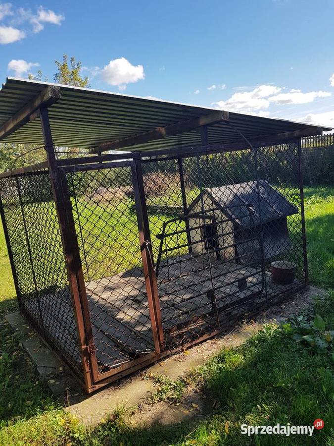 Kojec buda psa mazowieckie sprzedam