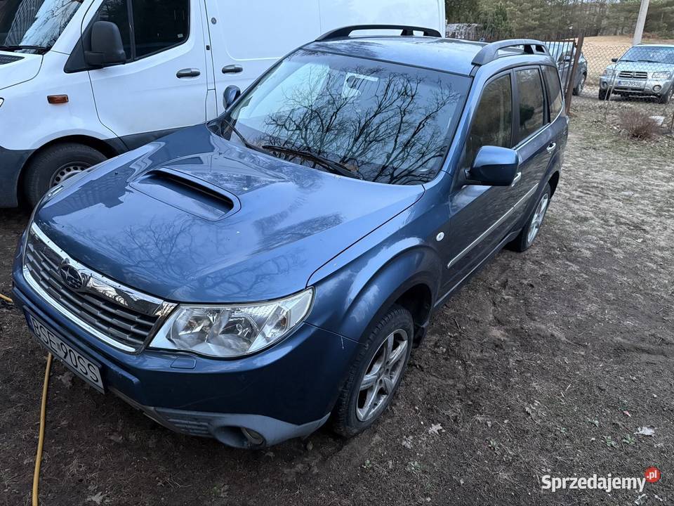 Subaru forester sh 20D Sejny