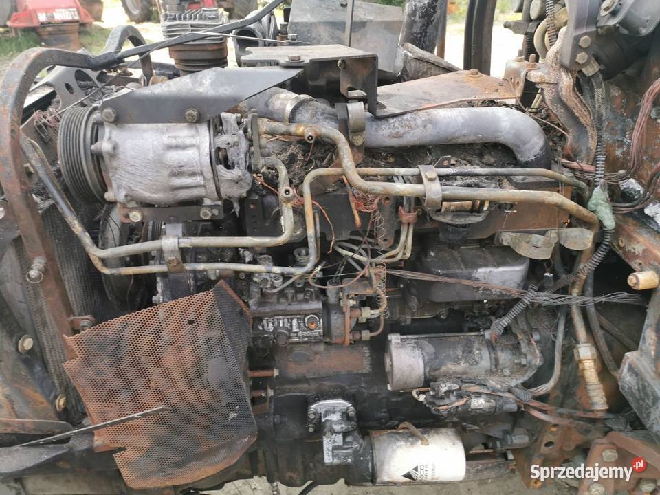 Massey Ferguson 5455 2013r Części Wilkowo