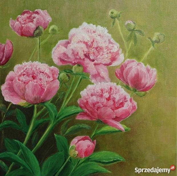 Obraz olejny Piwonie Lublin