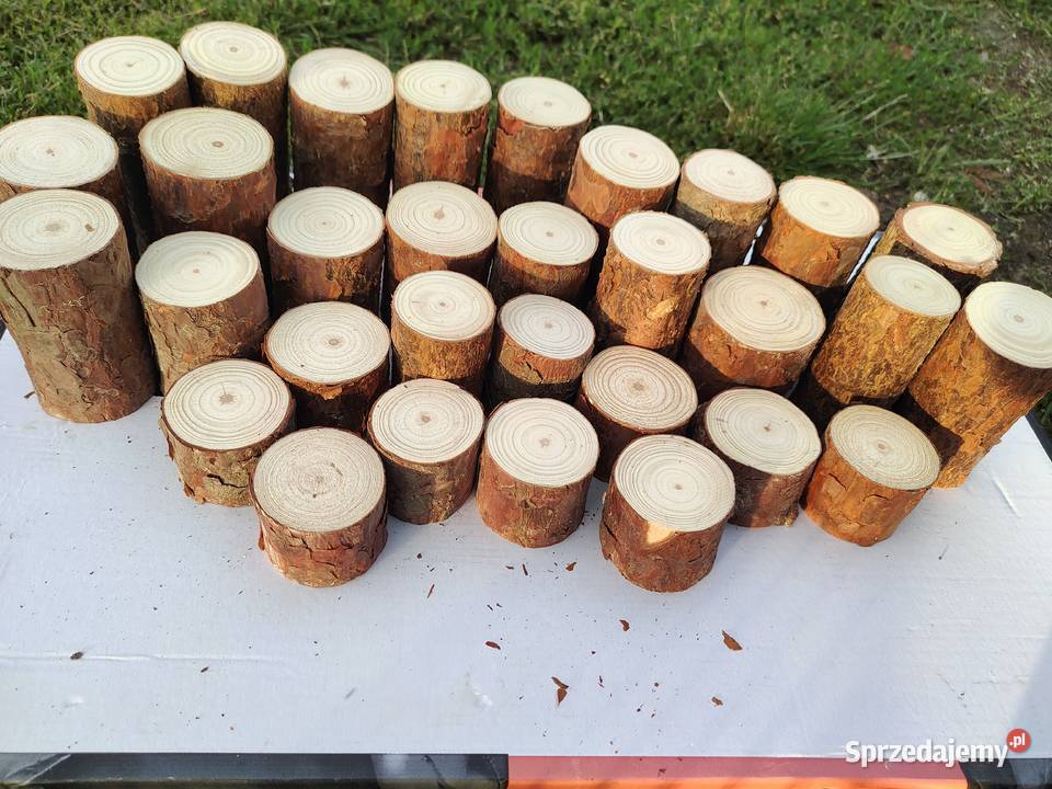 Pieńki plastry suche sosna różne średnice i podkarpackie Kulno