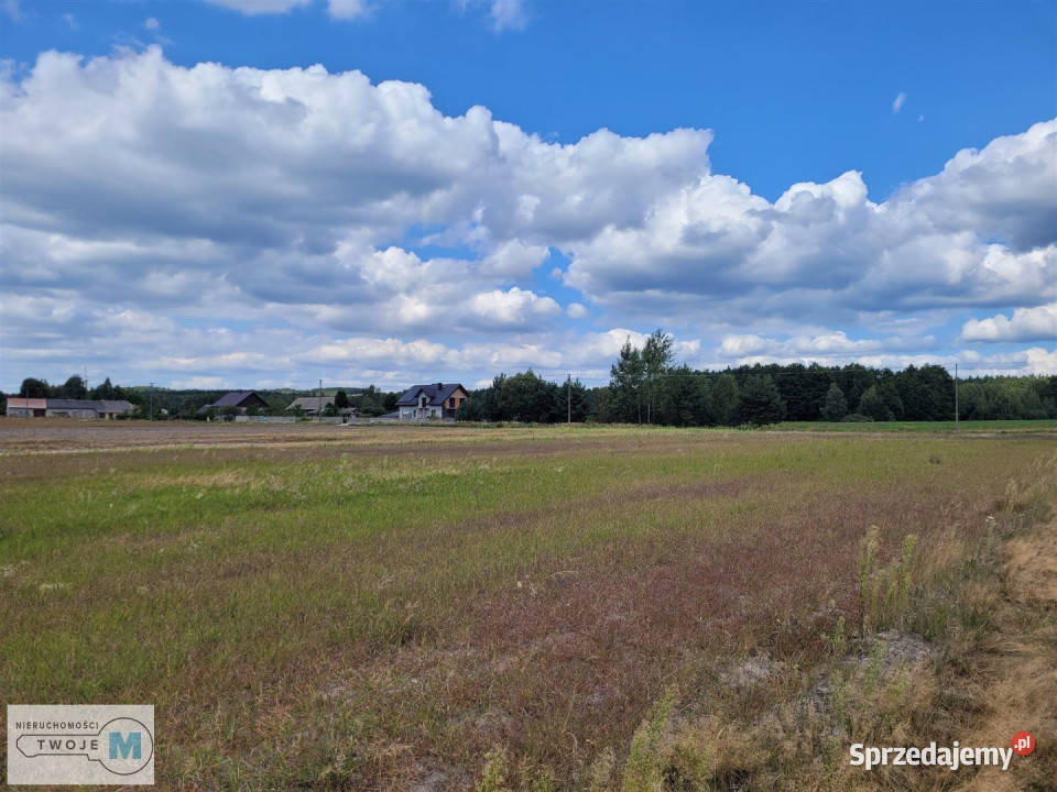 Działka 8000m2 Kluczewsko woda