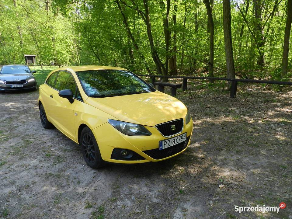 SEAT Ibiza IV 14 benzyna Klimatyzacja bluetooth sprowadzony Puszczykowo