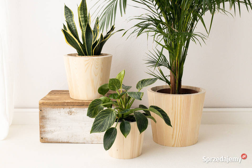 Donica drewniana sosnowa MAŁA donica ogrodowa Kalety sprzedam