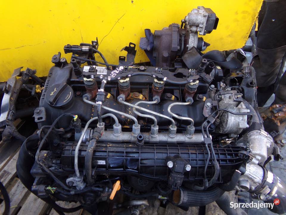 i40 OPTIMA ix35 CARENS SPORTAGE 17 CRDI 15r 116 Układ elektryczny, zapłon Suków