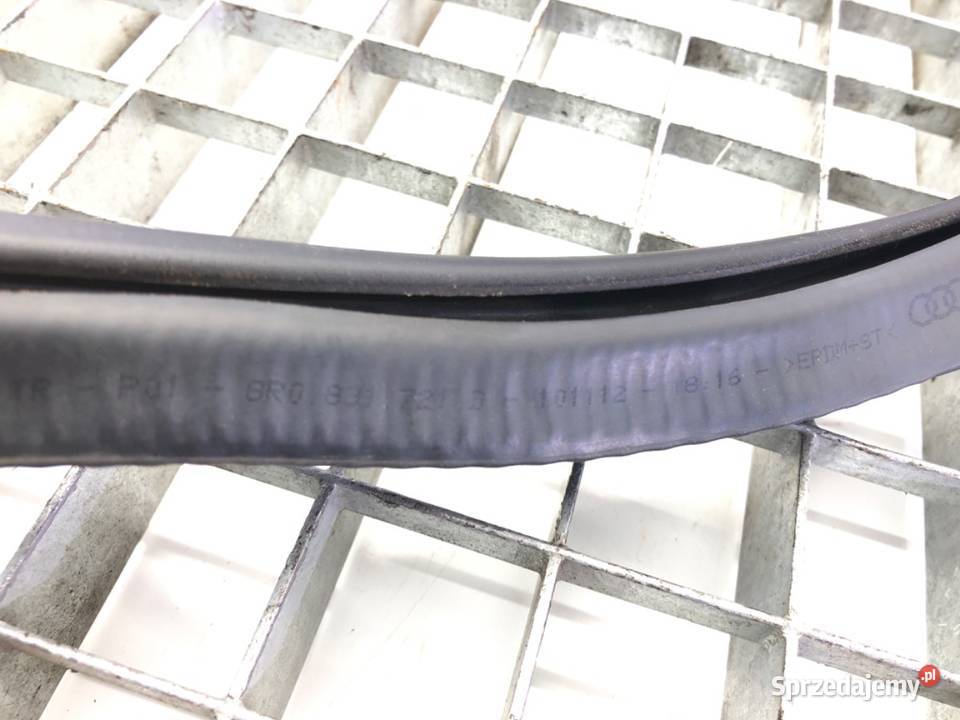 USZCZELKA DRZWI PRZÓD LEWA AUDI Q5 8R SUV 0817