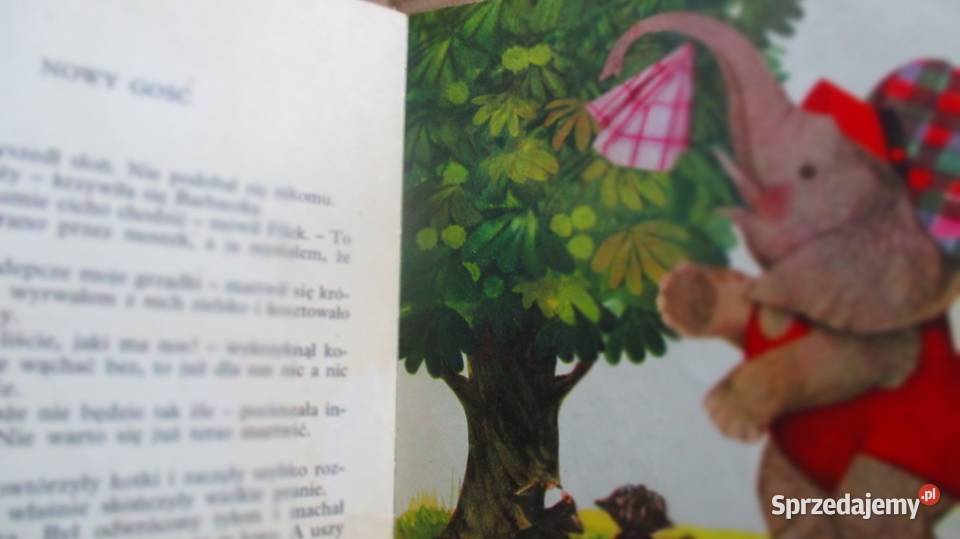 Wesołe lato HBechlerowa Zarembina Janczarski łódzkie Łódź sprzedam