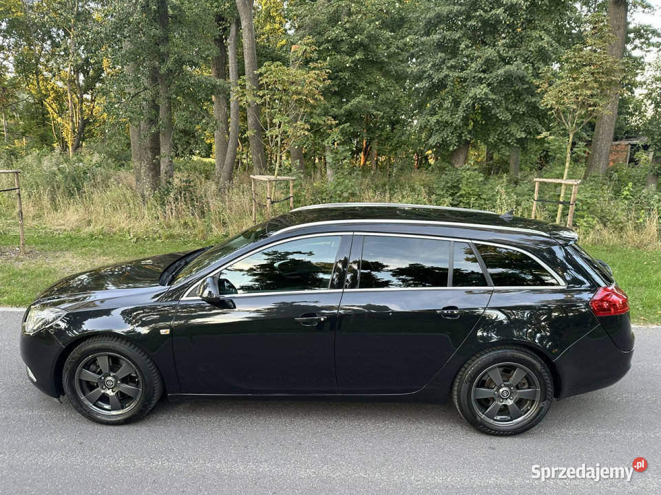 Opel Insignia Cosmo Sport Tour 20 CDTI 160 Navi relingi dachowe Józefkowo