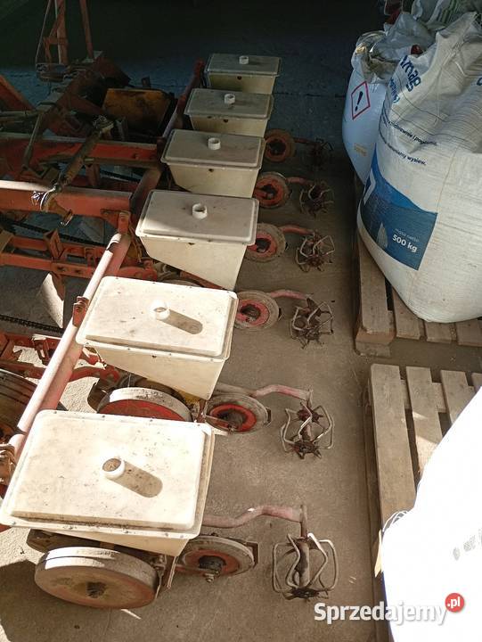 Siewnik do buraków Złotniki Kujawskie