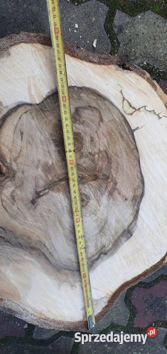 Plastry drewna orzech kujawsko-pomorskie Pakość