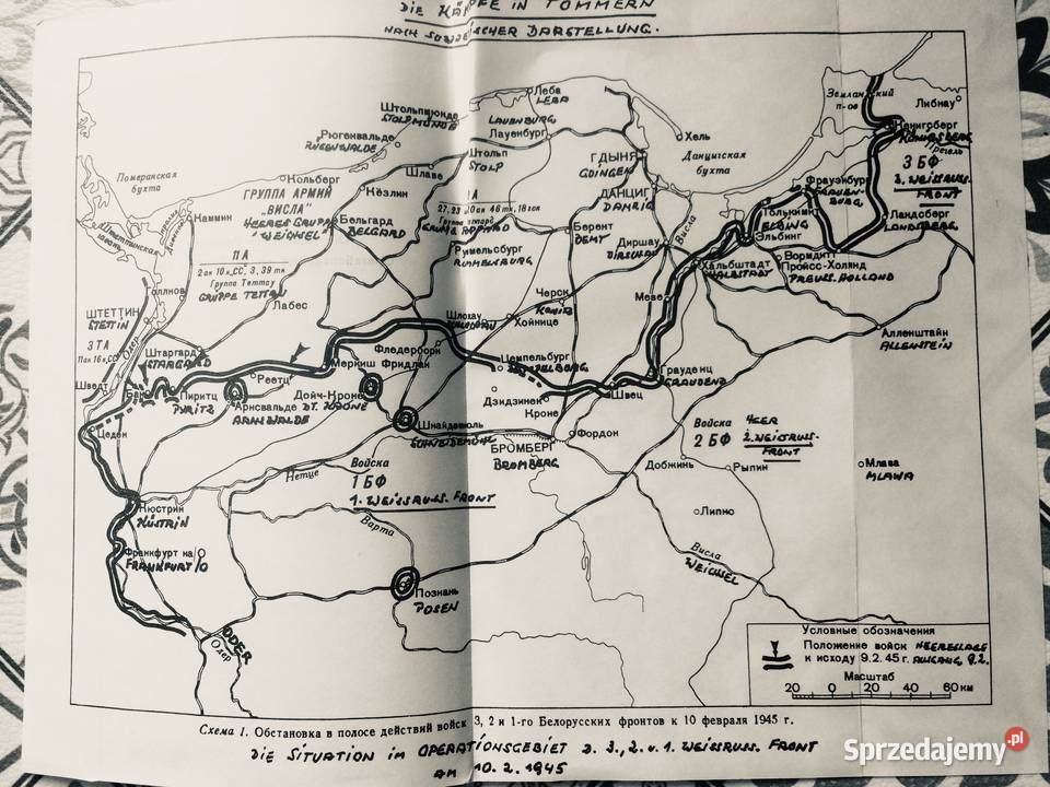 3780 Pomorska Pasja Szczecin