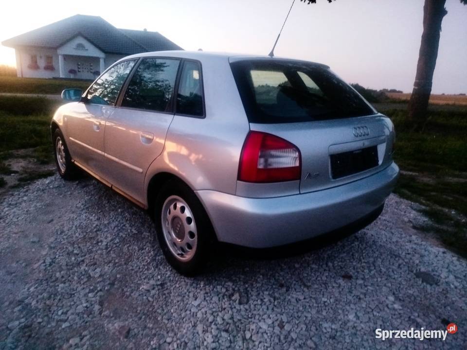 Audi A3 8l 16 Lift 2000r klima A3 Złotopole sprzedam