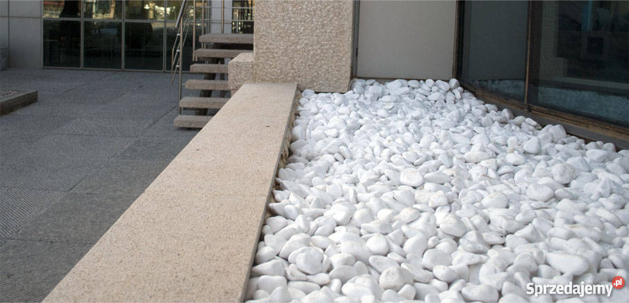 Otoczak śnieżnobiały Thassos thasos Gorlice