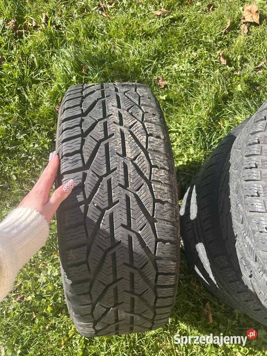 Opony zimowe Riken 22545 R17 felgi aluminiowe małopolskie Kierlikówka sprzedam