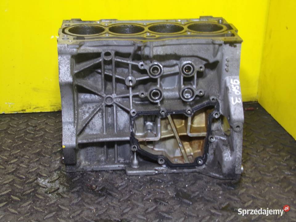 A1 A3 LEON FABIA GOLF 14 TFSI 18r 125 blok Suków